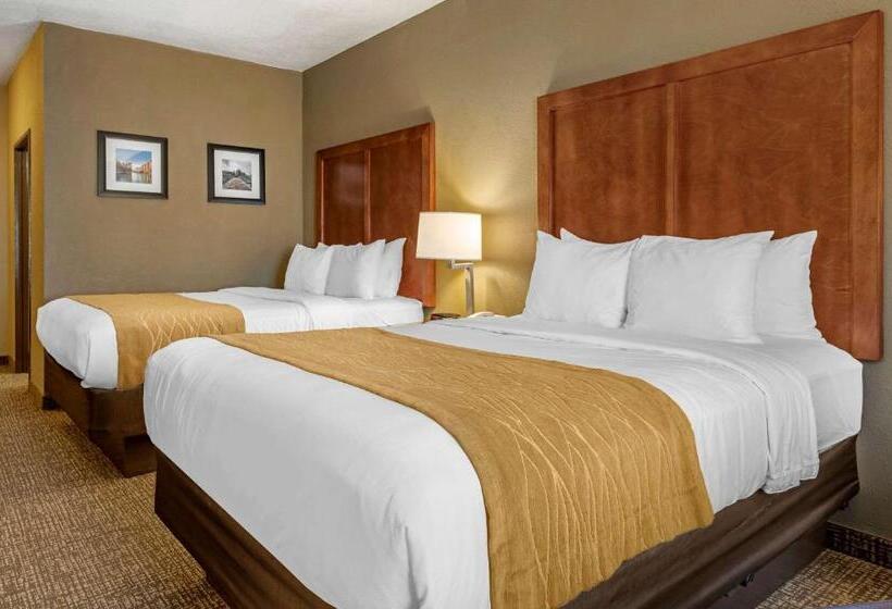 Номер Стандарт Адаптированный для Инвалидов, Comfort Inn Shelbyville North
