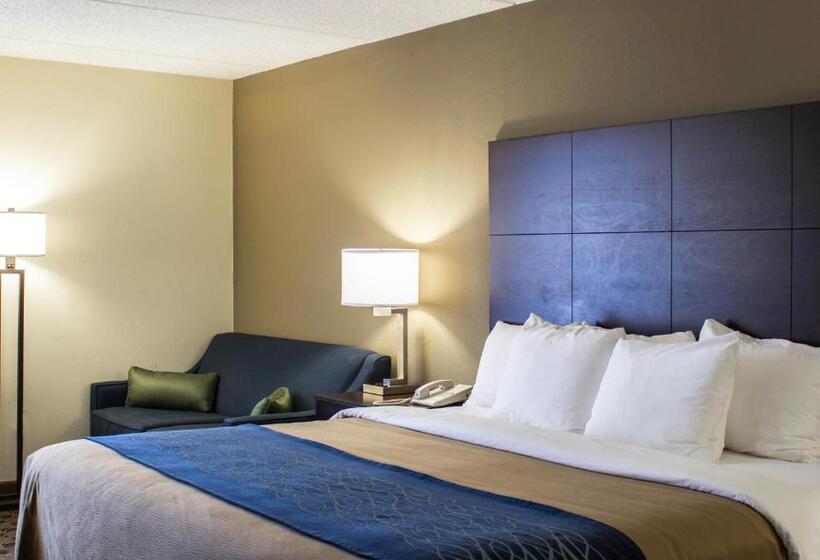 Стандартный Номер Кровать Кинг, Comfort Inn & Suites Fuquay Varina