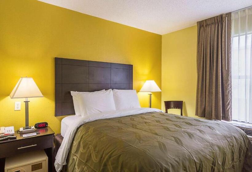 스탠다드 룸 킹사이즈 침대, Quality Inn Washington Nc