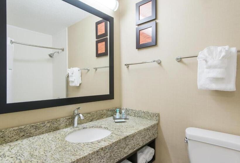 스위트 킹사이즈 침대, Wyndham Garden Hotel Cross Lanes Charleston