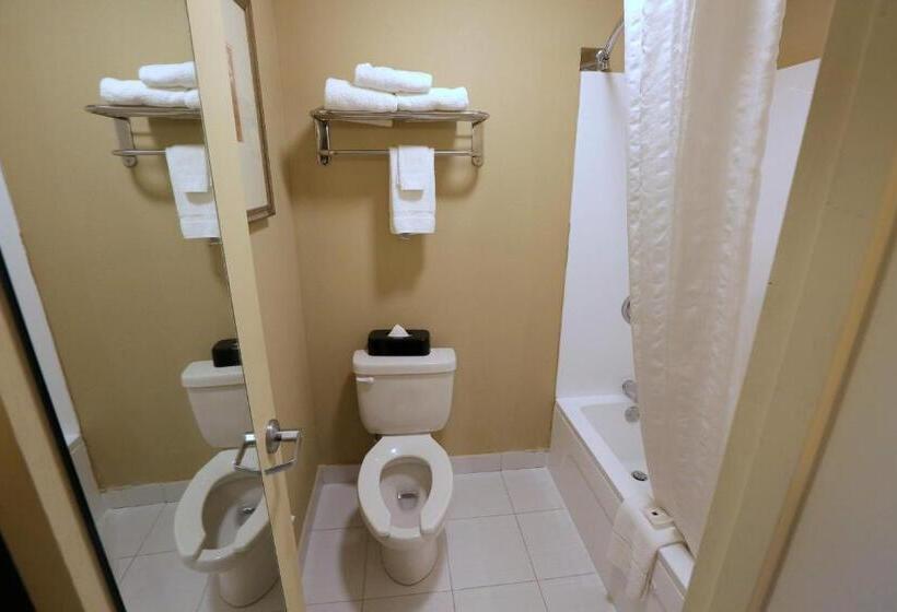 اتاق استاندارد با تخت بزرگ, Country Inn & Suites By Radisson, Charlotte I85 Airport, Nc
