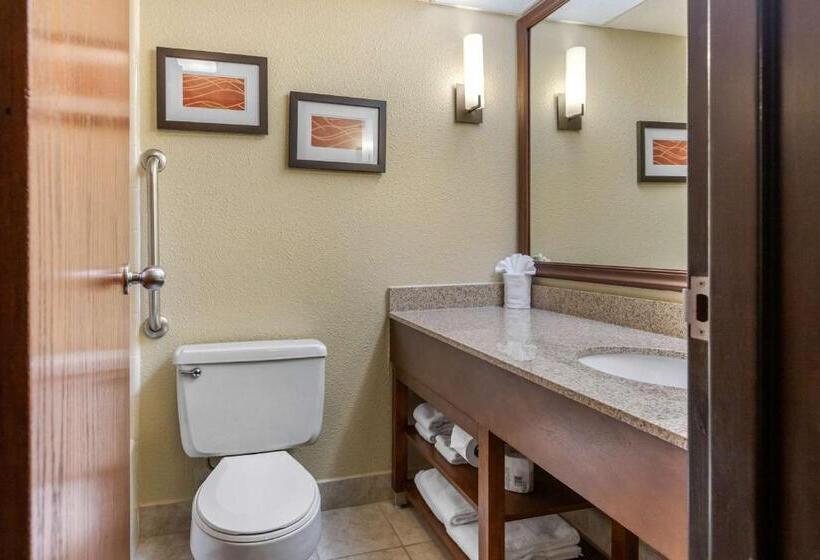 Стандартный Номер Кровать Кинг, Comfort Inn Grand Rapids Airport