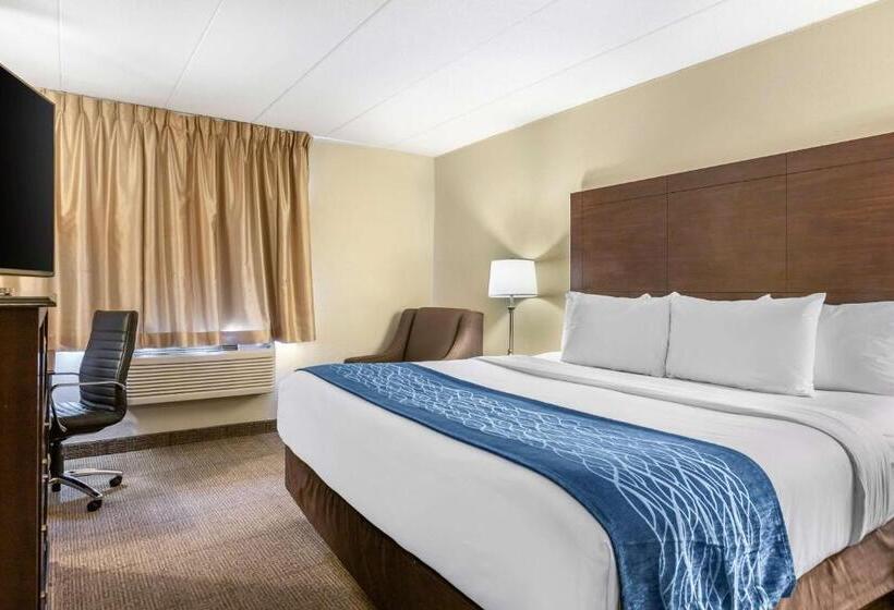 Номер Стандарт Кровать Кинг Адаптированный для Инвалидов, Comfort Inn Grand Rapids Airport