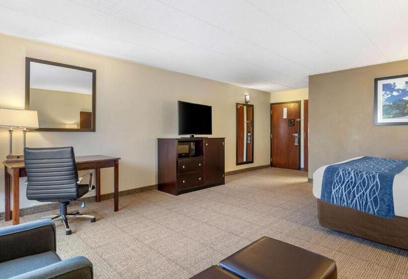 Стандартный Номер Кровать Кинг, Comfort Inn Grand Rapids Airport