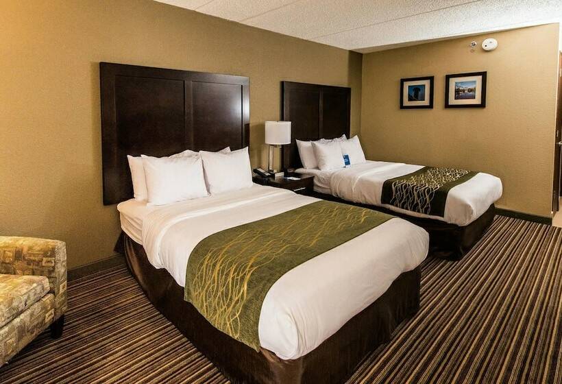 اتاق استاندارد با 2 تخت دوبل, Comfort Inn Lehigh Valley West
