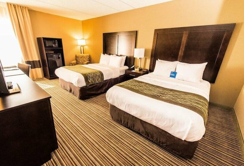 اتاق استاندارد با 2 تخت دوبل, Comfort Inn Lehigh Valley West