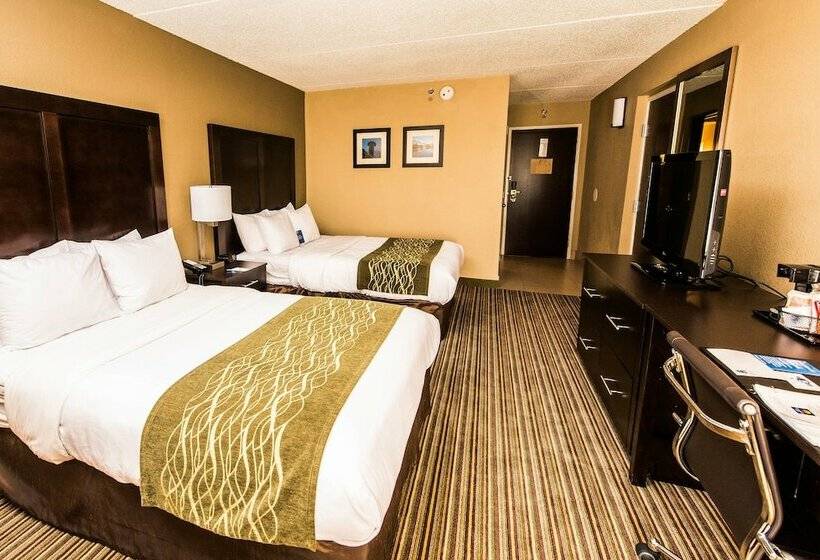 اتاق استاندارد با 2 تخت دوبل, Comfort Inn Lehigh Valley West