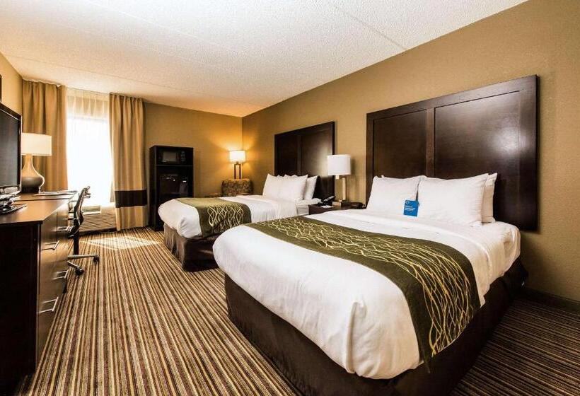اتاق استاندارد با 2 تخت دوبل, Comfort Inn Lehigh Valley West