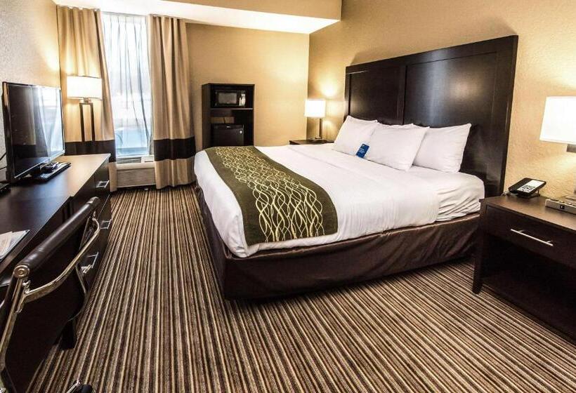 اتاق استاندارد با تخت بزرگ, Comfort Inn Lehigh Valley West
