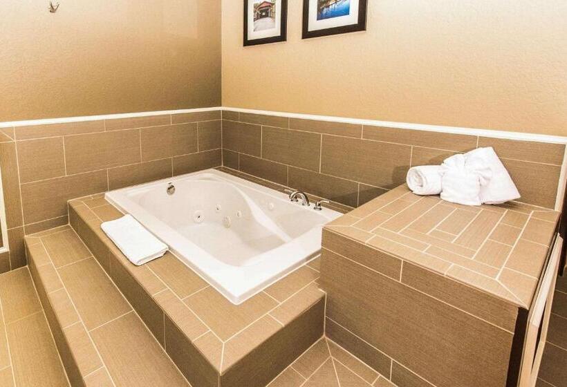 اتاق استاندارد با تخت بزرگ, Comfort Inn Lehigh Valley West