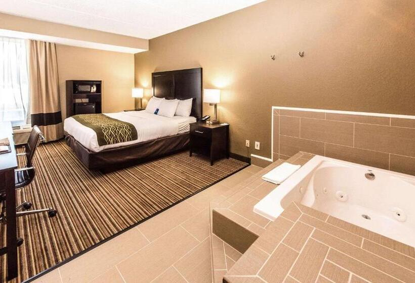 اتاق استاندارد با تخت بزرگ, Comfort Inn Lehigh Valley West