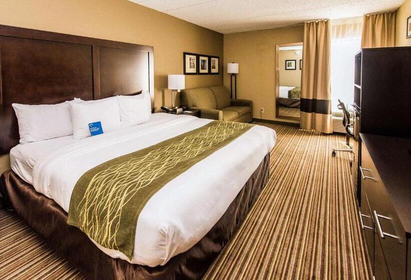 اتاق استاندارد با تخت بزرگ, Comfort Inn Lehigh Valley West