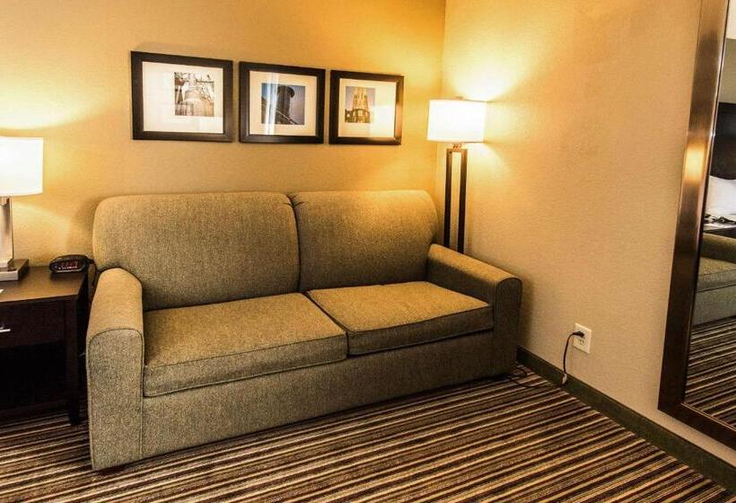 اتاق استاندارد با تخت بزرگ, Comfort Inn Lehigh Valley West