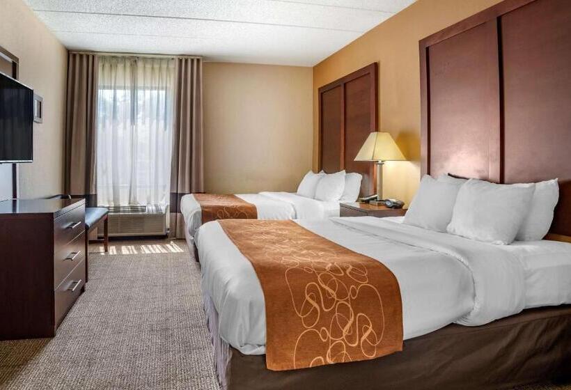 Люкс, Comfort Suites
