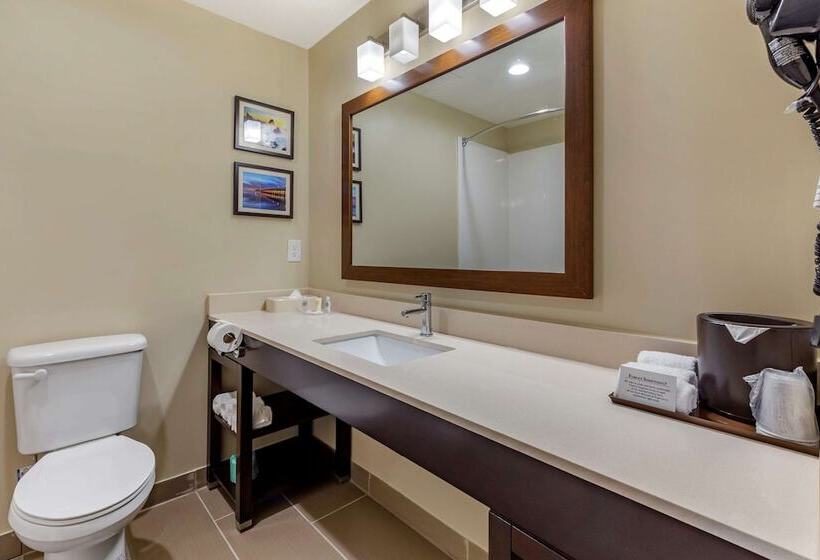 Люкс, Comfort Suites Near Camp Lejeune