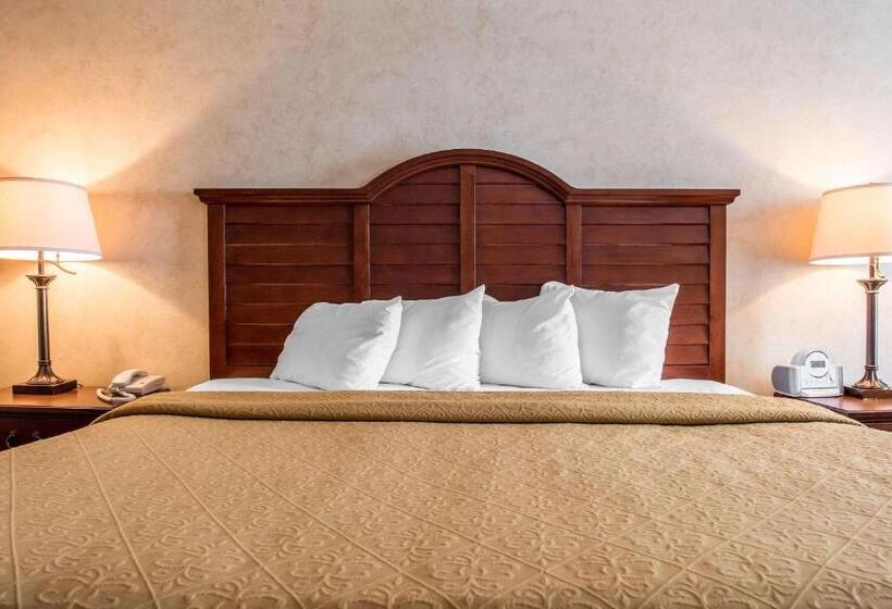 اتاق استاندارد با تخت بزرگ, Quality Inn Pittsburgh Airport
