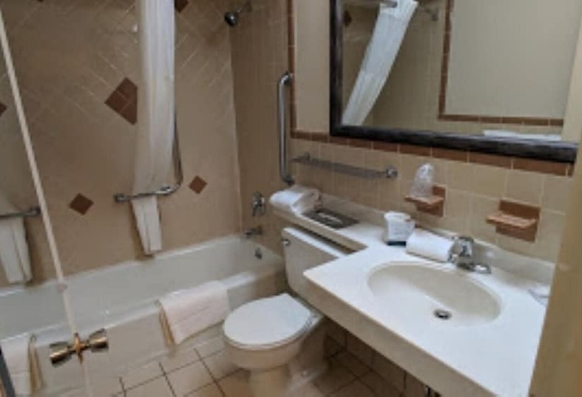 اتاق استاندارد با 2 تخت دوبل, Quality Inn Pittsburgh Airport
