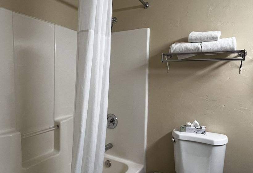 Номер Стандарт 2 Двуспальные Кровати, Quality Inn Zion Park Area