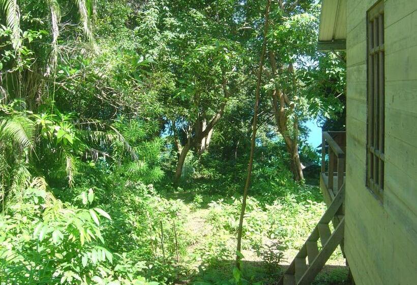 Номер Стандарт Совместная Ванная, Olala Café & Bungalows