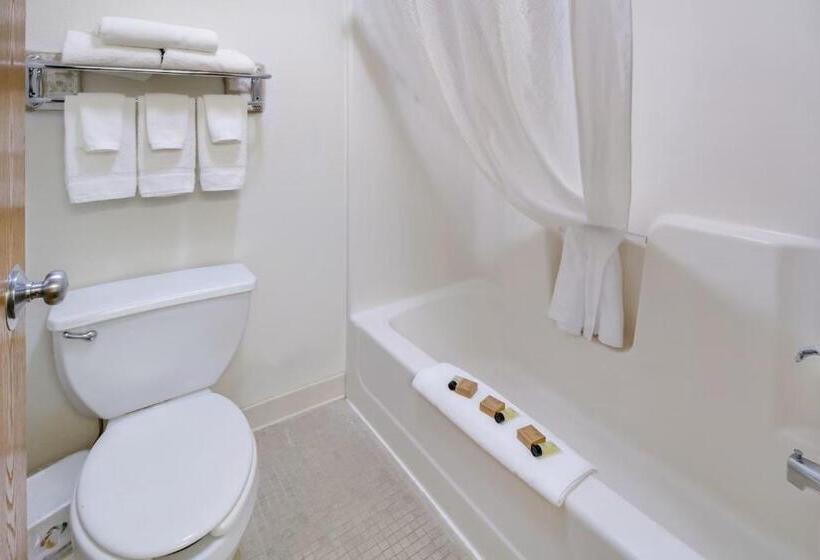Люкс Deluxe Кровать Кинг, Alliance Hotel And Suites