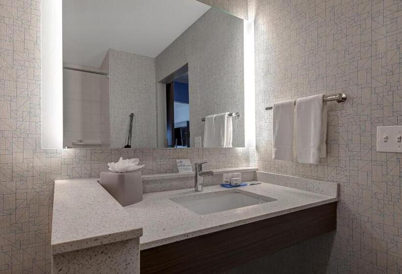 套房, Holiday Inn Express & Suites   Ann Arbor   University South, An Ihg