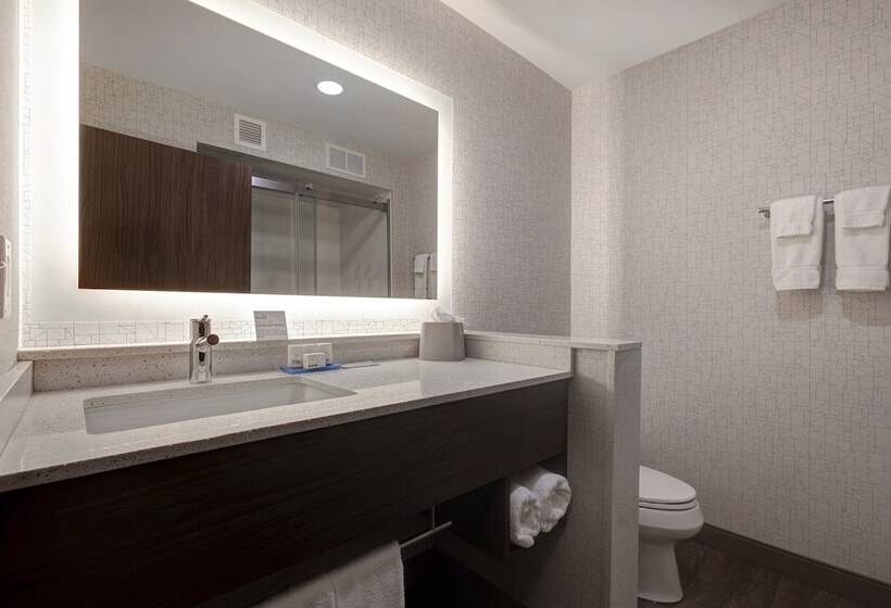 套房, Holiday Inn Express & Suites   Ann Arbor   University South, An Ihg
