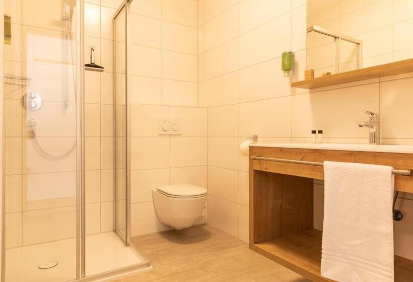 Апартаменты 1 Спальня, Pitztal Living