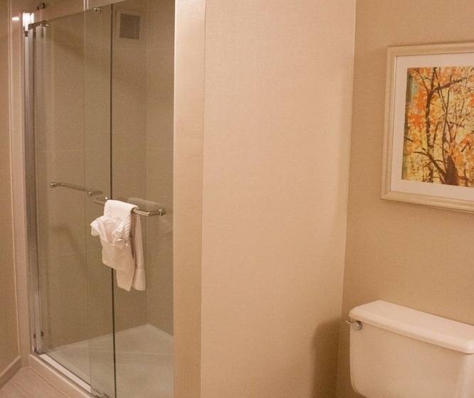 سوییت جونیور, Doubletree By Hilton Kansas City  Overland Park
