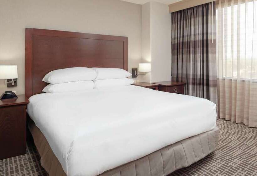 سوییت جونیور, Doubletree By Hilton Kansas City  Overland Park
