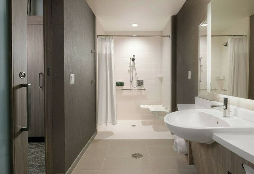 Люкс, Springhill Suites By Marriott Texas City