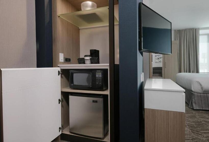 Люкс, Springhill Suites By Marriott Texas City