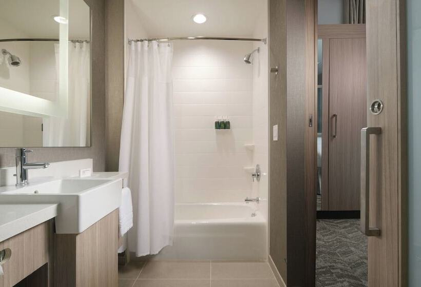 Люкс, Springhill Suites By Marriott Texas City