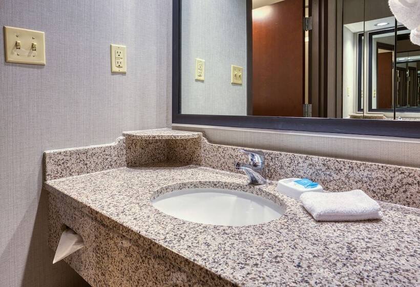 Номер Deluxe Адаптированный для Инвалидов, Drury Inn & Suites St. Louis Airport