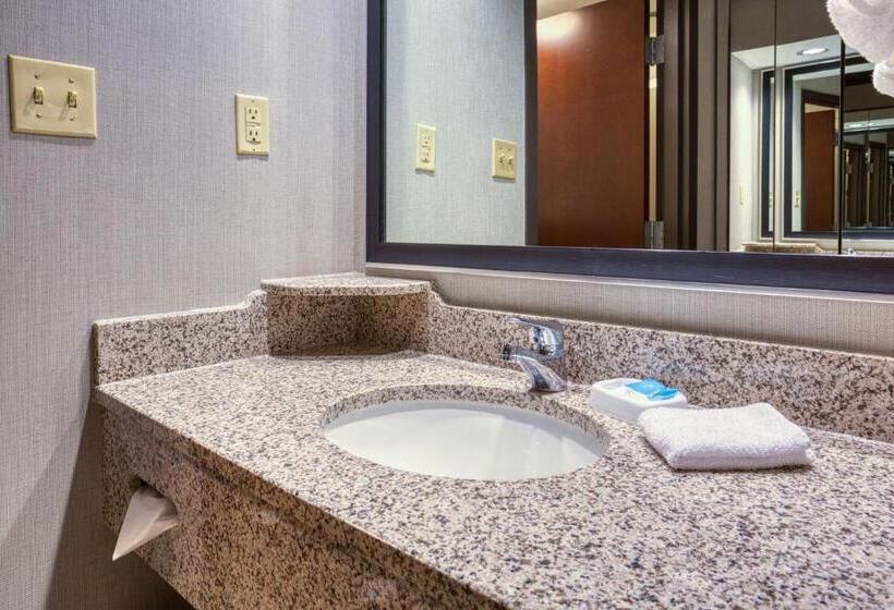 Номер Superior Адаптированный для Инвалидов, Drury Inn & Suites St. Louis Airport