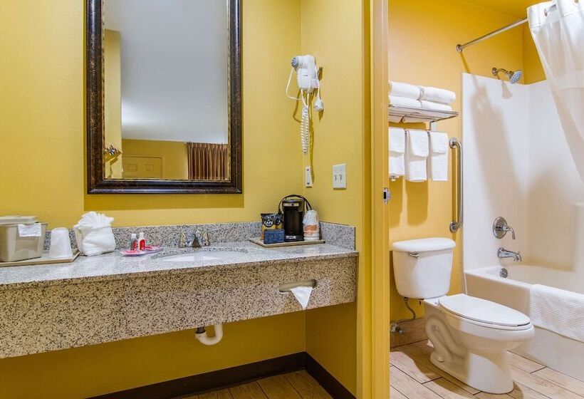 Номер Стандарт 2 Двуспальные Кровати, Econo Lodge