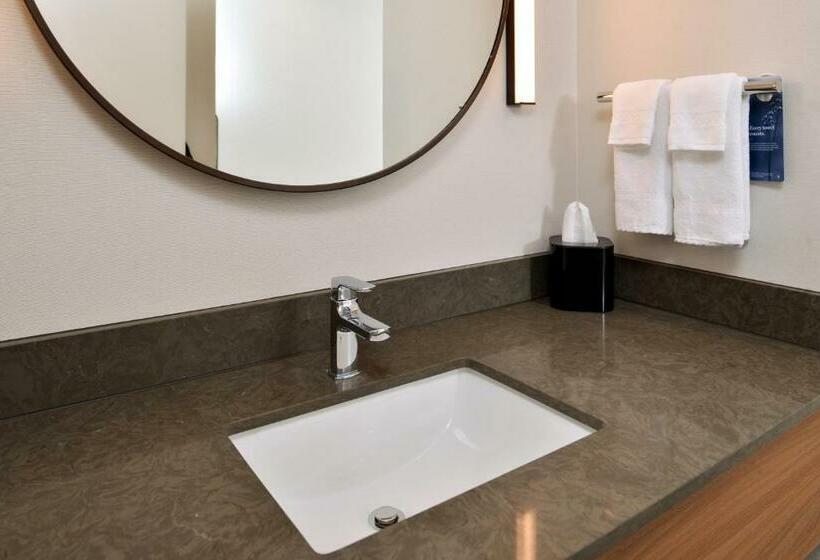 스위트, Fairfield Inn And Suites By Marriott Minneapolis Shakopee