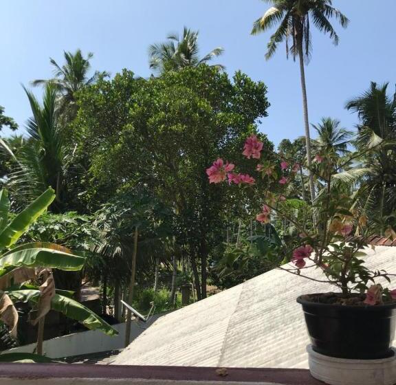 Номер Economy, Jungle Villa