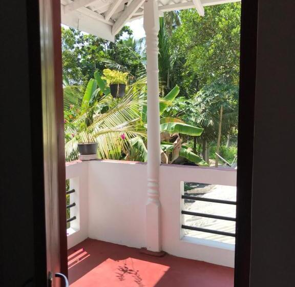 Номер Economy, Jungle Villa