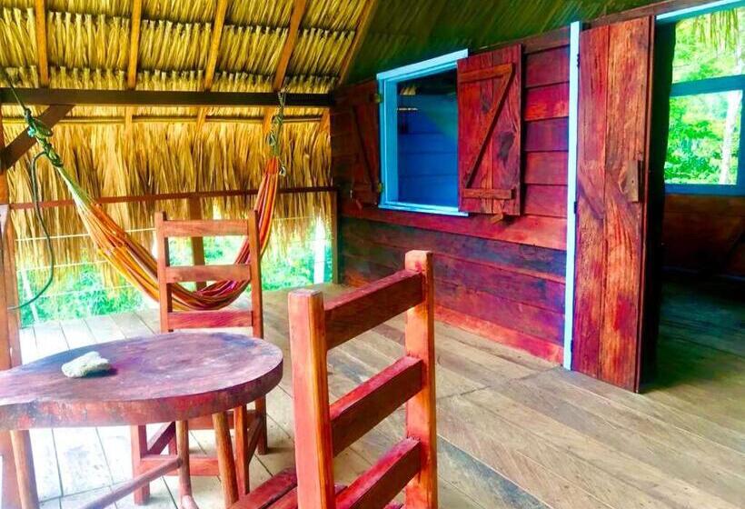 اتاق استاندارد, Hostal Doble Vista