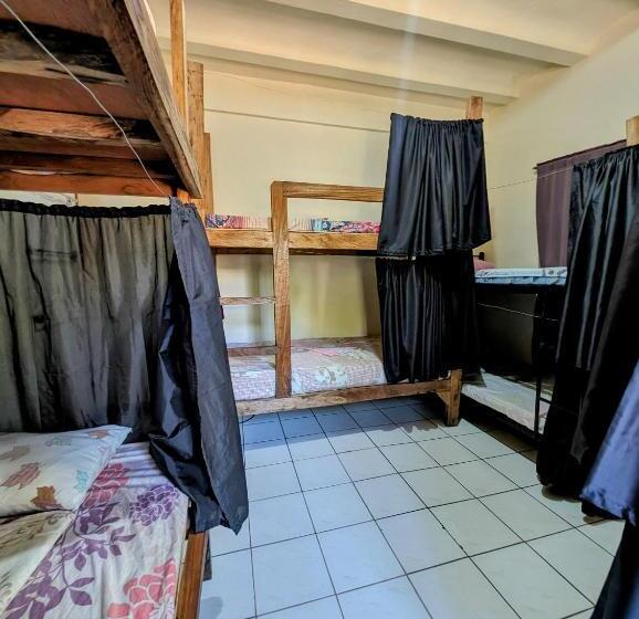 공동 객실, Screaming Gecko Hostel