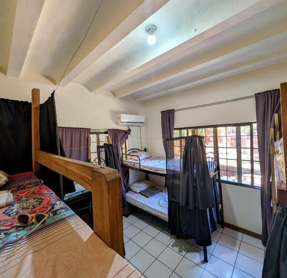 공동 객실, Screaming Gecko Hostel