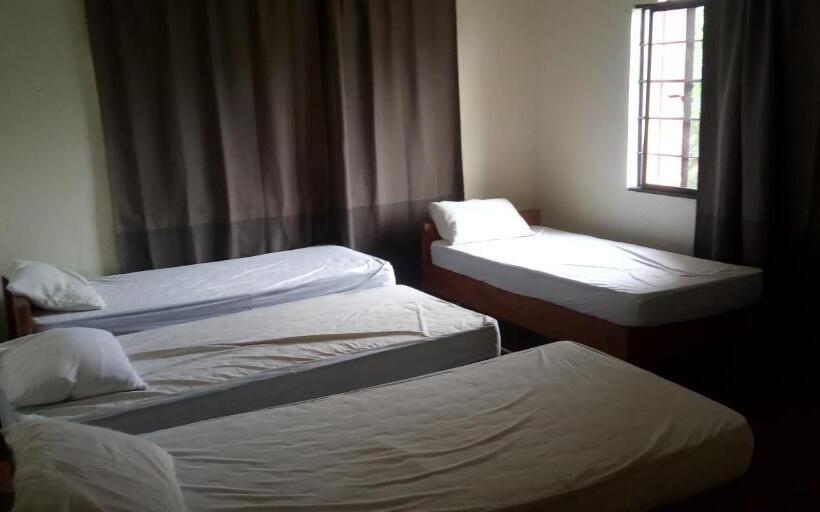 디럭스 4인 룸, Screaming Gecko Hostel