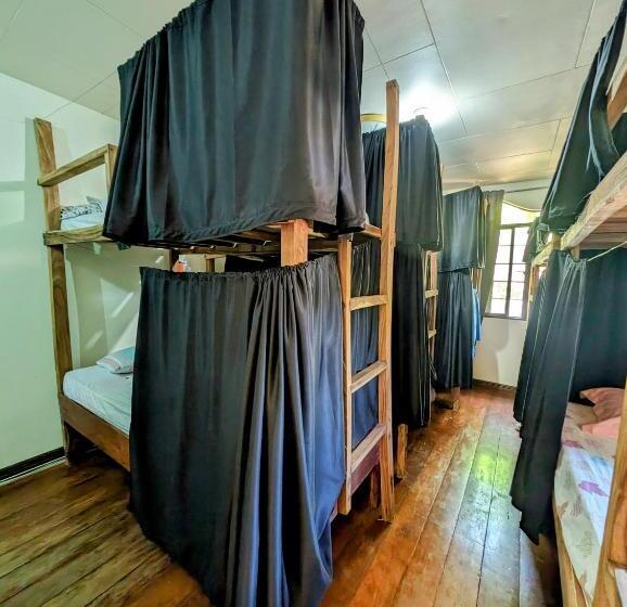 디럭스 패밀리 룸, Screaming Gecko Hostel