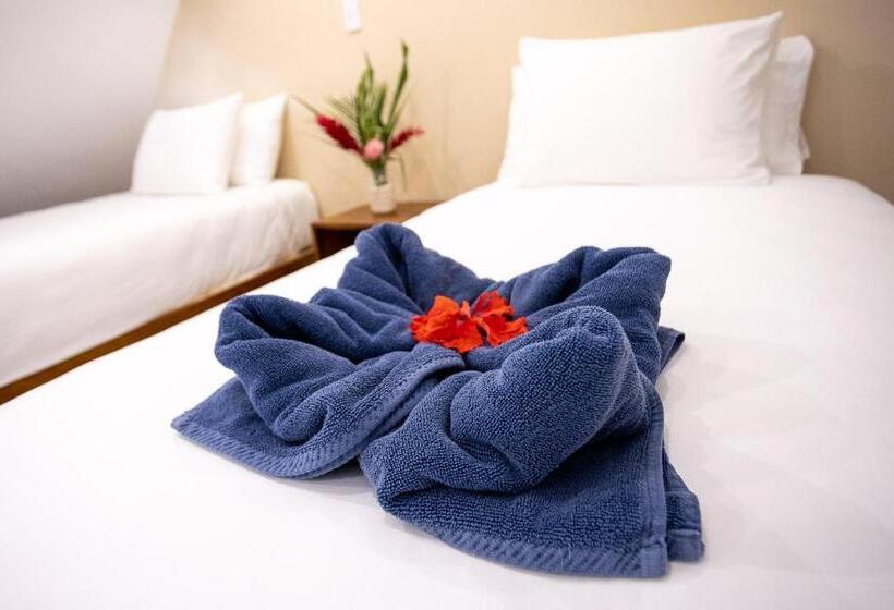 اتاق استاندارد با تخت بزرگ, Aves Hotel Montezuma