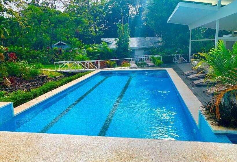 اتاق استاندارد با تخت بزرگ, Aves Hotel Montezuma