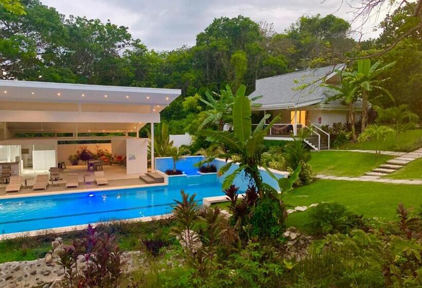 اتاق استاندارد با تخت بزرگ برای معلولان, Aves Hotel Montezuma
