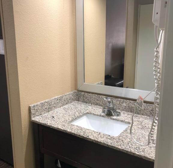 Номер Стандарт Адаптированный для Инвалидов, Comfort Inn & Suites Kannapolis   Concord