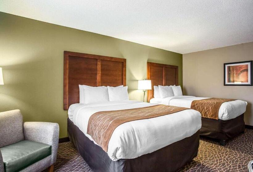 Номер Стандарт Адаптированный для Инвалидов, Comfort Inn & Suites Kannapolis   Concord