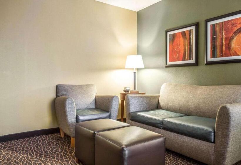 Номер Стандарт Кровать Кинг Адаптированный для Инвалидов, Comfort Inn & Suites Kannapolis   Concord