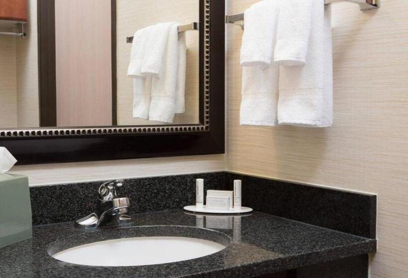 Номер Стандарт Индивидуальный, Comfort Inn & Suites Olathe   Kansas City